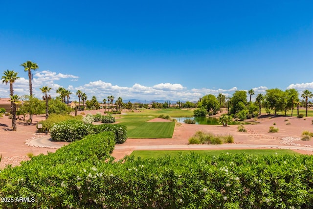 surrounding community featuring a water view and a lawn