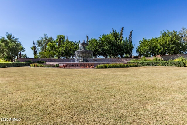 view of community with a yard