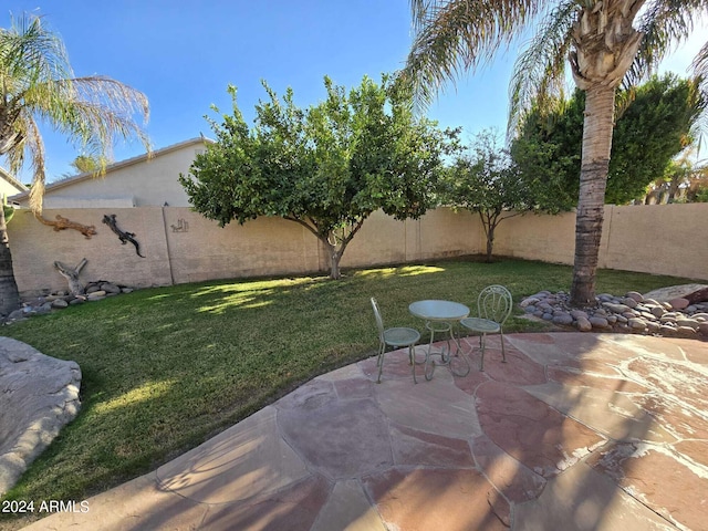 view of yard featuring a patio area