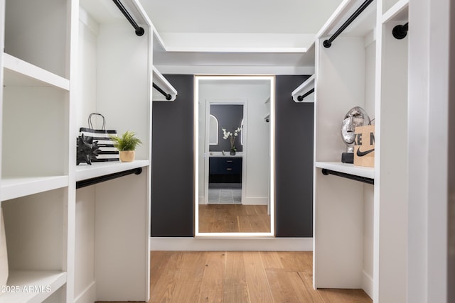 spacious closet with light wood-type flooring