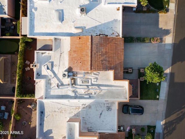 bird's eye view