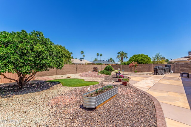 view of yard with a patio area and a fenced backyard