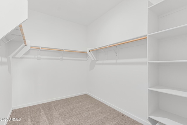 spacious closet featuring carpet