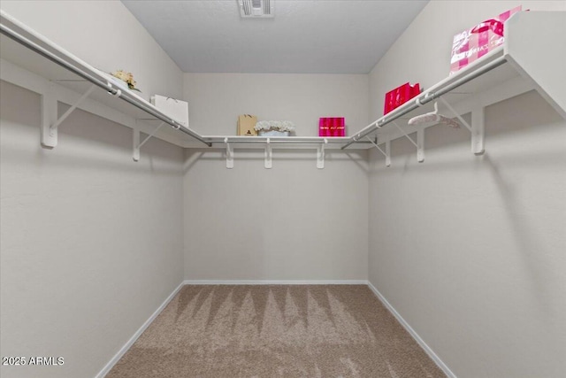 3784 E Washington Ct, Gilbert, AZ 85234 - walk in closet featuring carpet flooring