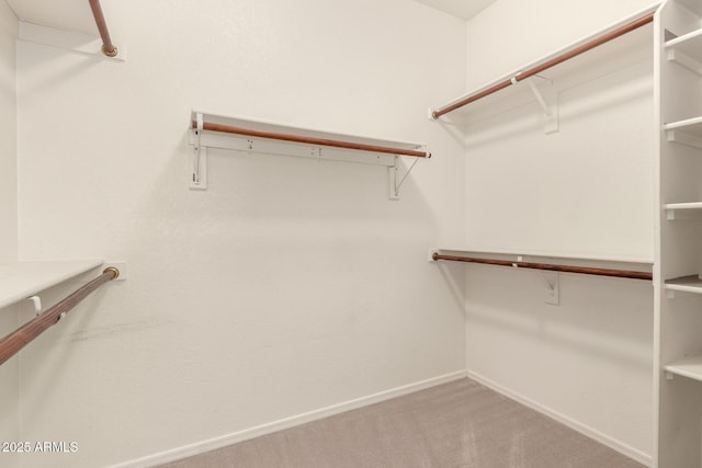 20632 N 103rd Ave, Peoria, AZ 85382 - walk in closet with carpet