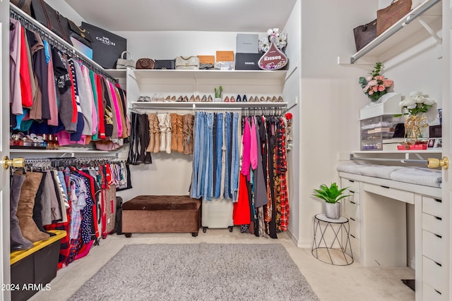 spacious closet with light colored carpet