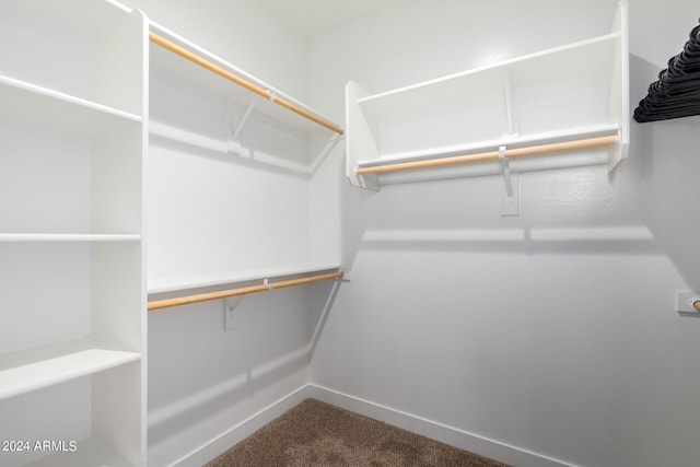 10785 W Arivaca Dr, Arizona City, AZ 85123 - walk in closet featuring dark carpet
