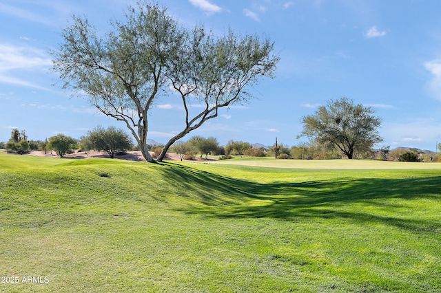 view of property's community featuring a lawn