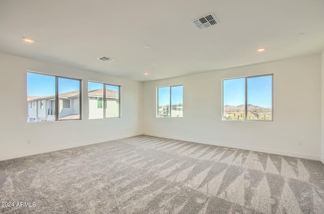 carpeted empty room with a healthy amount of sunlight