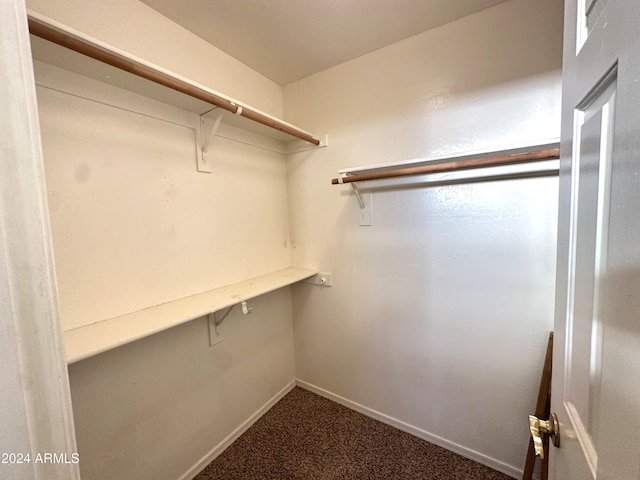 spacious closet with carpet