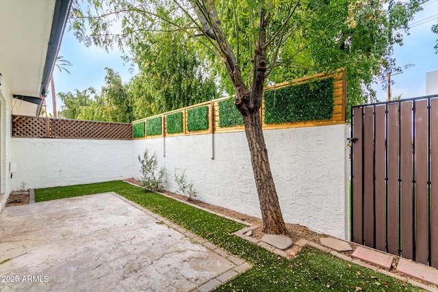 view of yard with a patio