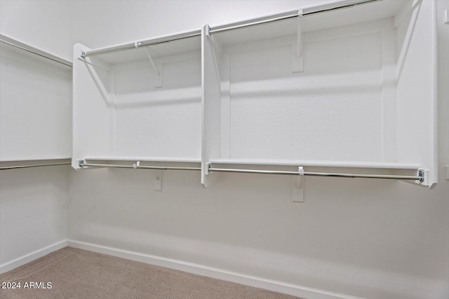 spacious closet with carpet floors