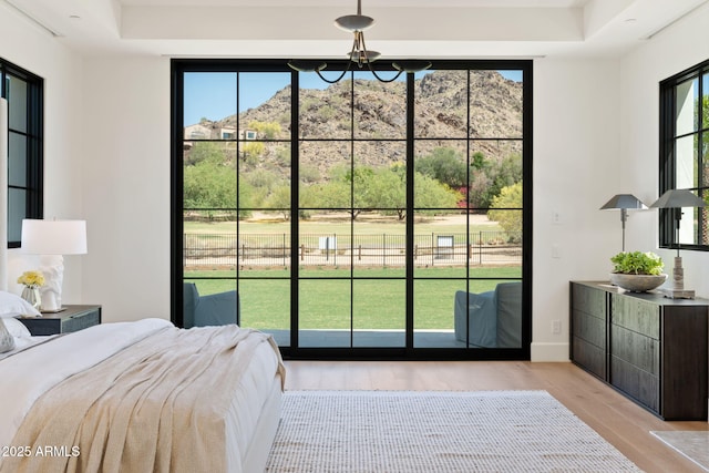 bedroom with a mountain view and light wood-type flooring