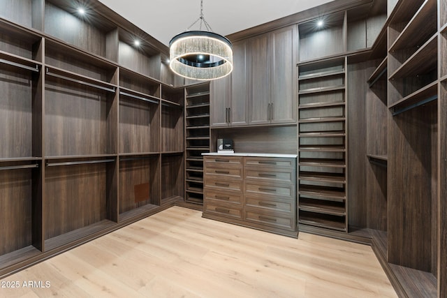 spacious closet featuring light wood finished floors