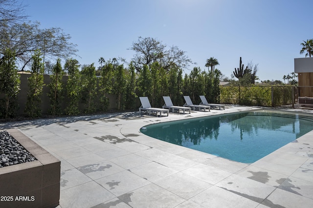 view of pool featuring a patio area