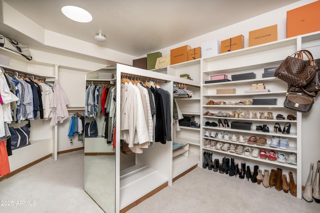 walk in closet with carpet floors