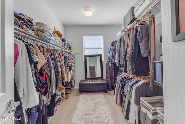 spacious closet featuring light carpet