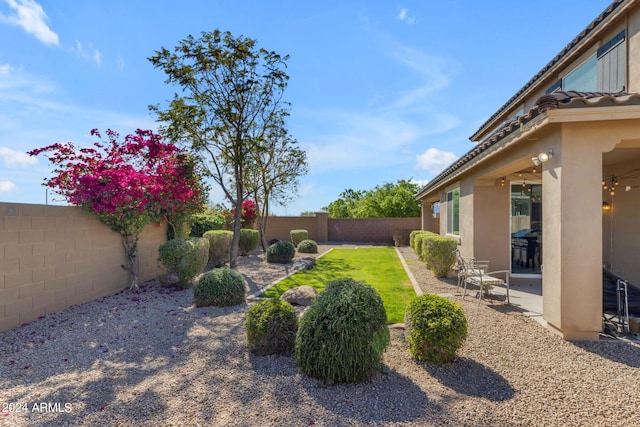 view of yard featuring a patio area