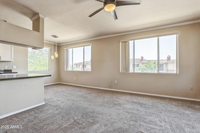 5401 E Van Buren St Unit 3048, Phoenix, AZ 85008 - unfurnished living room with carpet, crown molding, plenty of natural light, and baseboards
