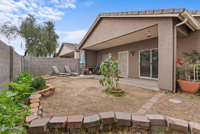 back of house featuring a patio area, stucco siding, and a fenced backyard