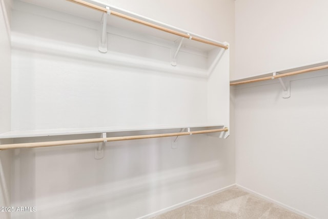 18072 W Paradise Ln, Surprise, AZ 85388 - spacious closet with carpet floors