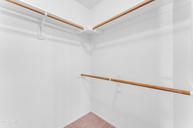 walk in closet featuring carpet