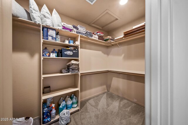 spacious closet with attic access and carpet flooring