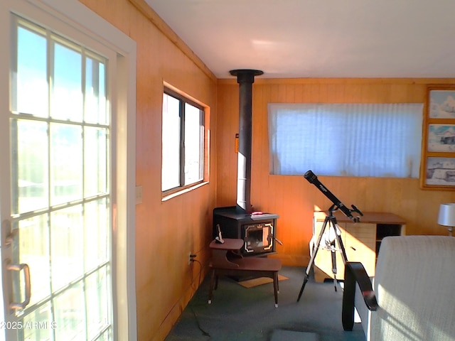 211 W Kiser St, Superior, AZ 85173 - workout room with carpet flooring, a wood stove, crown molding, and wood walls