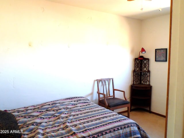 211 W Kiser St, Superior, AZ 85173 - bedroom with carpet floors