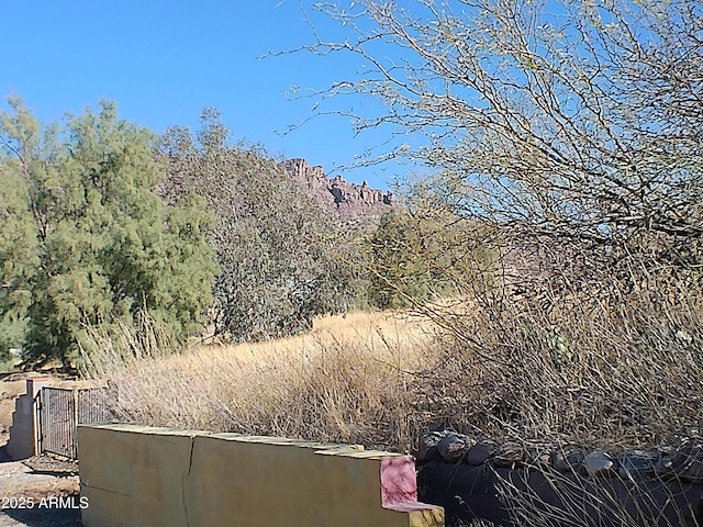 211 W Kiser St, Superior, AZ 85173 - mountain view