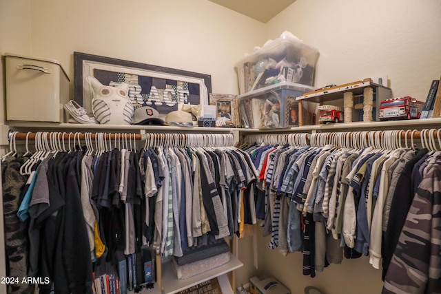 view of spacious closet