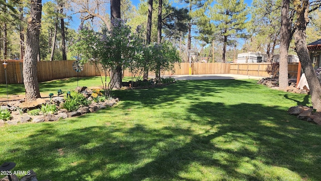 view of yard featuring a fenced backyard