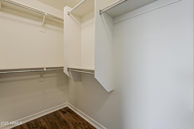 spacious closet with dark wood-style flooring