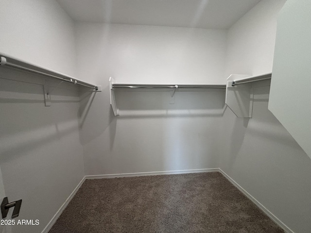 spacious closet with carpet floors