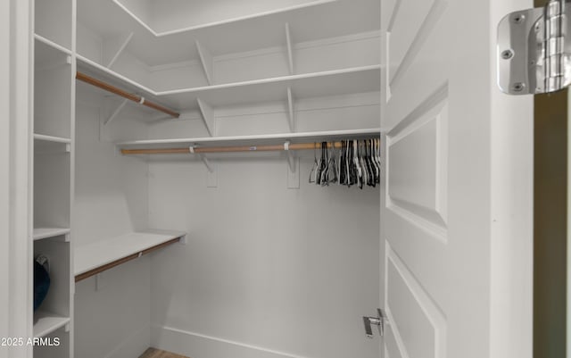 view of spacious closet