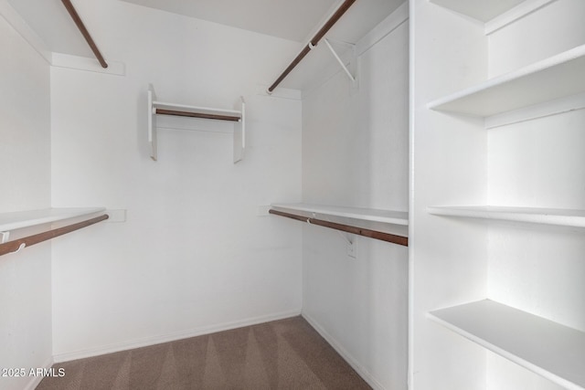 3002 S Marigold Pl, Chandler, AZ 85248 - spacious closet featuring carpet