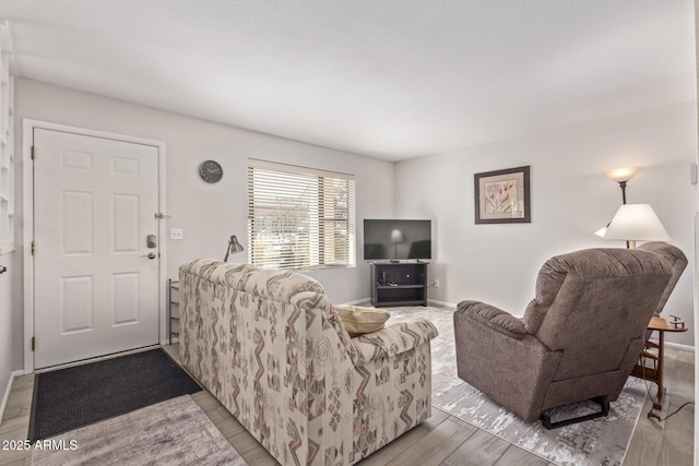 living room featuring light hardwood / wood-style flooring