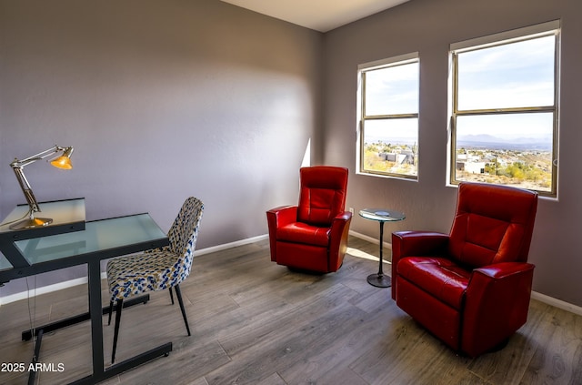 office with baseboards and wood finished floors