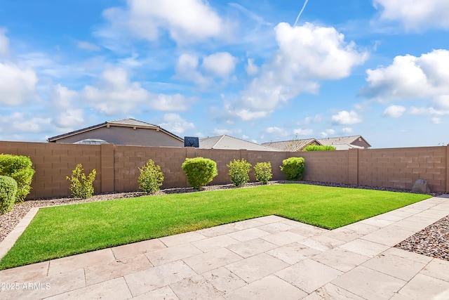 view of yard with a fenced backyard and a patio