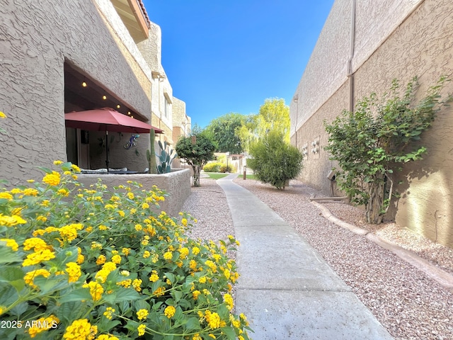 4554 E Paradise Village Pkwy N Unit 133, Phoenix, AZ 85032 - surrounding community