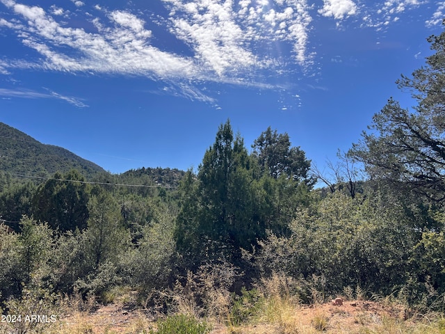 Listing photo 3 for LOT44 E Verde Cir Unit 44, Payson AZ 85541