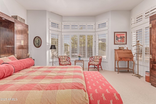 carpeted bedroom with access to outside