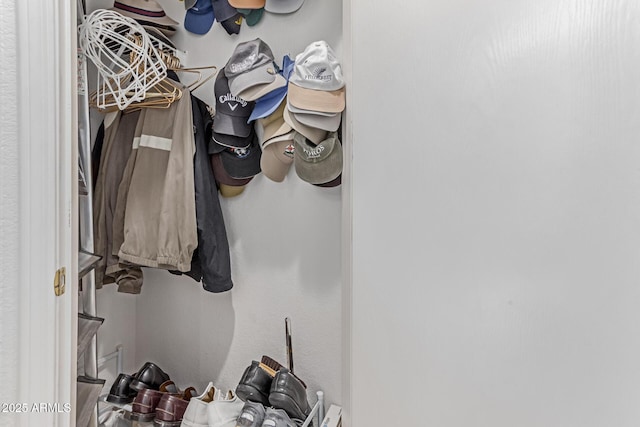 view of walk in closet