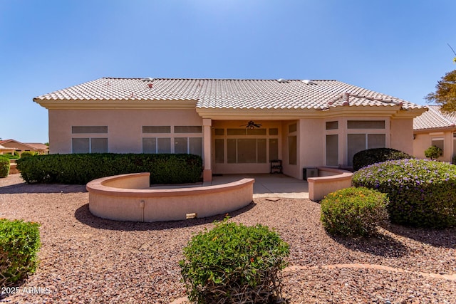 rear view of house with a ceiling fan, a patio, stucco siding, and a tiled roof