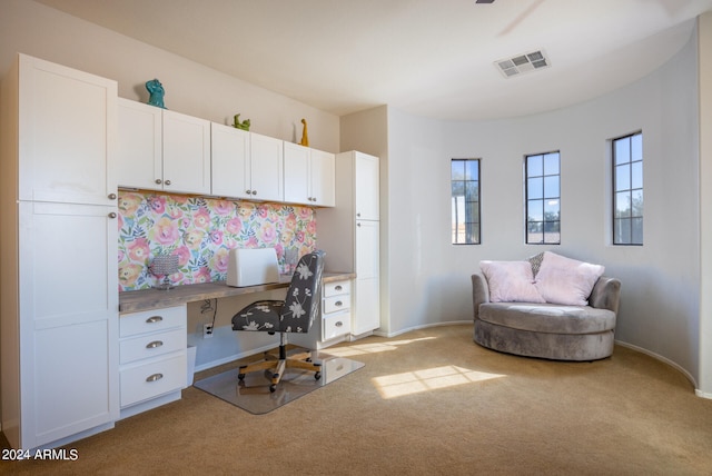 carpeted office featuring a wealth of natural light