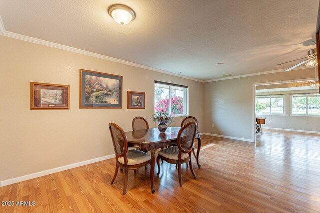 dining room featuring ornamental molding, plenty of natural light, and light hardwood / wood-style flooring