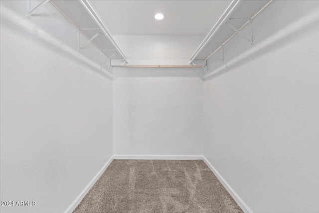 walk in closet with carpet