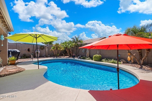 view of pool featuring a fenced backyard, a fenced in pool, area for grilling, and a patio area