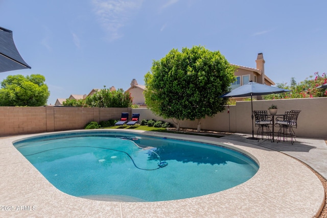 view of pool featuring a patio, a fenced in pool, and a fenced backyard