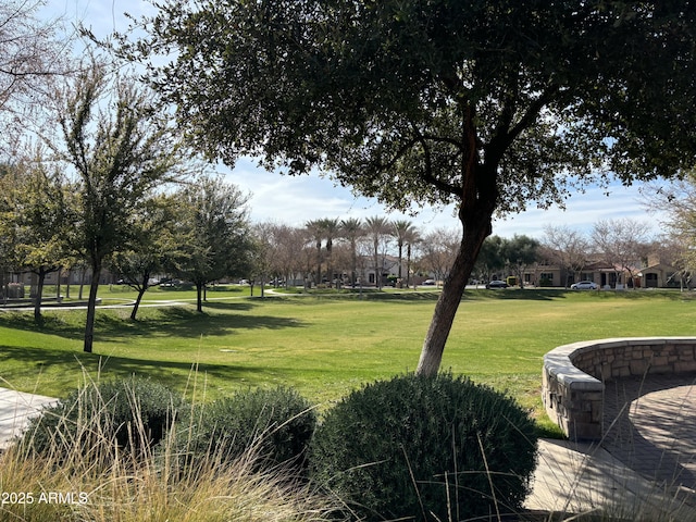 view of property's community with a yard